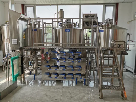 Cassman SUS304 2 navi 1000L 10bbl Attrezzatura per la produzione di birra per la produzione di birra Brewpub